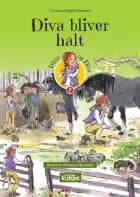 Diva bliver halt af Christina Holgård Sørensen