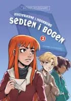 Sedlen i bogen af Michael Kousgaard