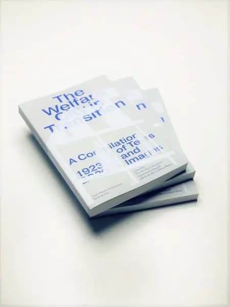 The Welfare City in Transition af Kristoffer Lindhardt Weiss