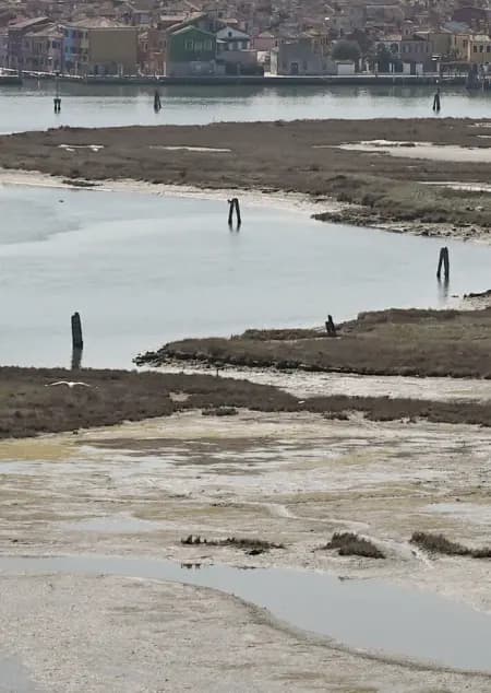 Urban Shores af Anna Aslaug Lund