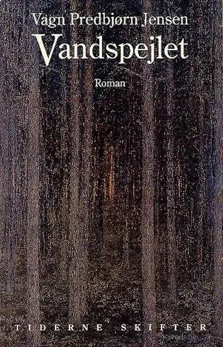 Vandspejlet af Vagn Predbjørn Jensen
