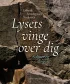 Lysets vinge over dig af Lisbeth Smedegaard Andersen