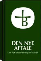 Den Nye Aftale