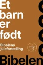 ET BARN ER FØDT – BIBELENS JULEFORTÆLLING af Bibelselskabet