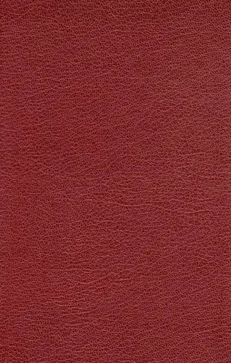 Musiktillæg, Enstemmig udgave