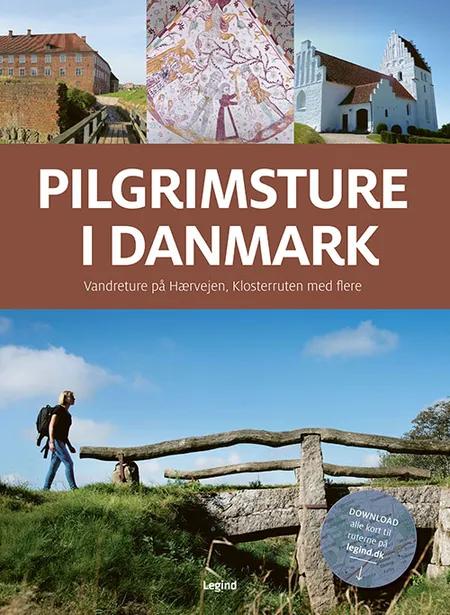 Pilgrimsture i Danmark af Jørgen Hansen