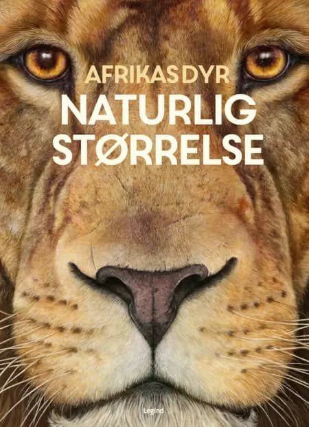 Afrikas dyr - i naturlig størrelse af Holger Haag