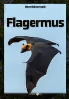 Flagermus af Henrik Enemark