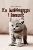 En kattunge i huset