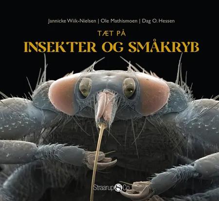 Tæt på insekter og småkryb af Jannicke Wiik-Nielsen