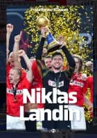 Niklas Landin af Frida Bejder Klausen