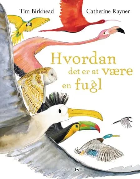 Hvordan det er at være en fugl af Tim Birkhead