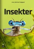 Insekter af Anne-Sofie Duch Teglgaard