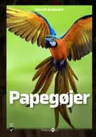 Papegøjer af Henrik Enemark