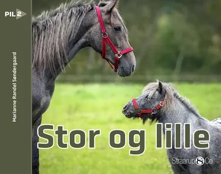 Stor og lille af Marianne Randel Søndergaard