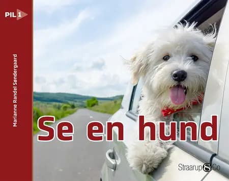 Se en hund af Marianne Randel Søndergaard