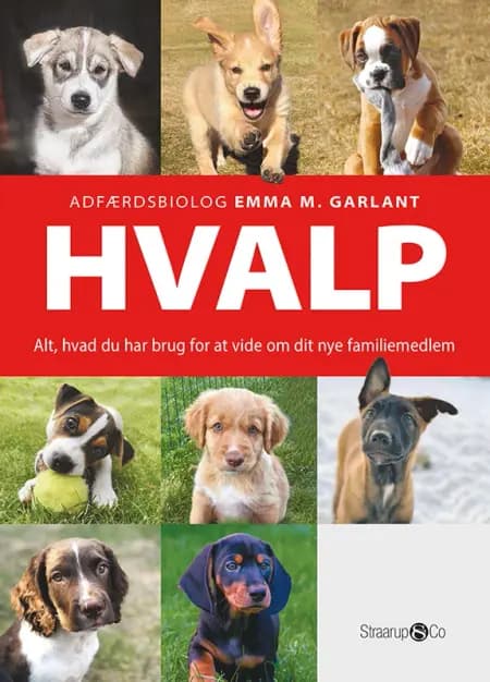 Hvalp af Emma M. Garlant