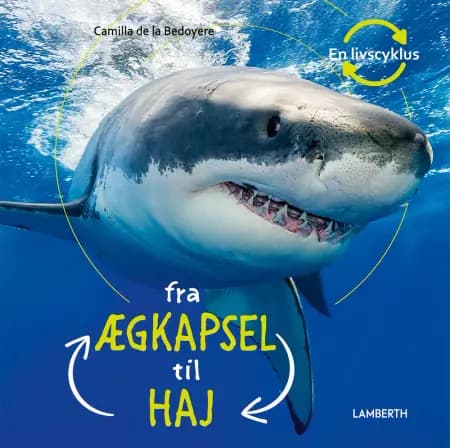 Fra ægkapsel til haj af Camilla de la Bédoyère