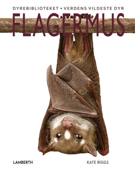 Flagermus af Kate Riggs