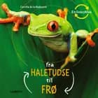Fra haletudse til frø