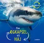 Fra ægkapsel til haj af Camilla de la Bédoyére