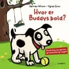 Hvor er Buddys bold? af Agnes Grün
