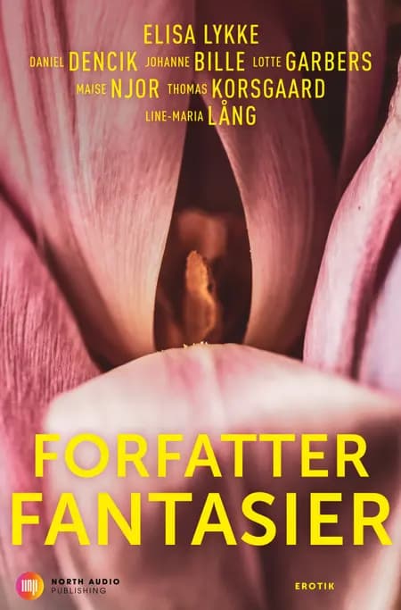 Forfatterfantasier af Daniel Dencik