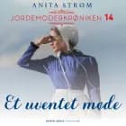Et uventet møde af Anita Strøm