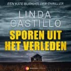 Sporen uit het verleden af Linda Castillo