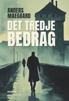 Det tredje bedrag af Anders Maegaard