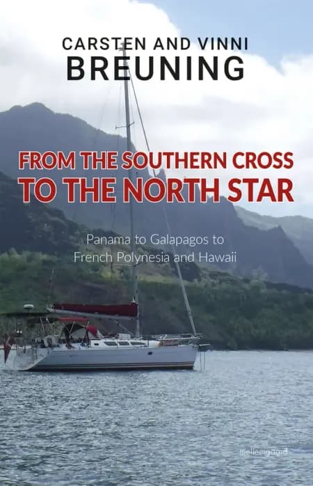 From the Southern Cross to the North Star af Vinni Breuning