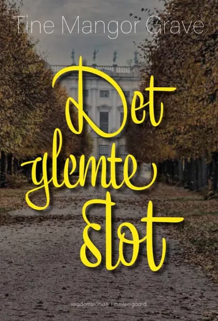 Det glemte slot af Tine Mangor Grave