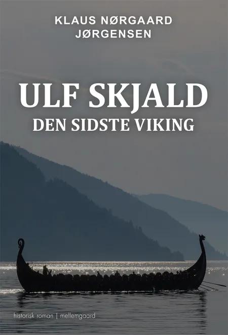 Den sidste viking af Klaus Nørgaard Jørgensen