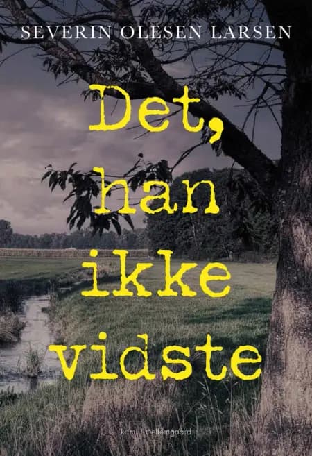 Det, han ikke vidste af Severin Olesen Larsen