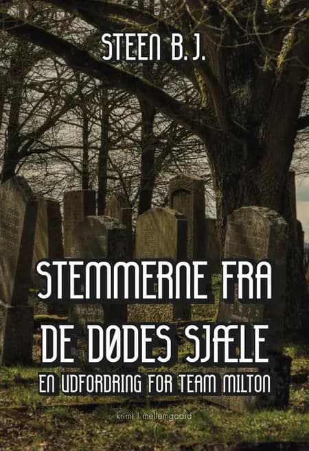 Stemmerne fra de dødes sjæle af Steen B.J.