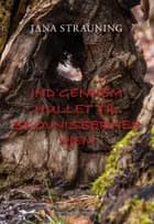 Ind gennem hullet til skovnissernes hjem af Iana Strauning