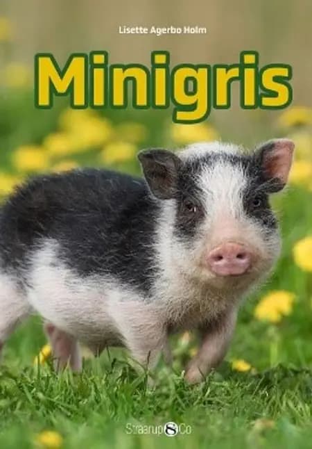 Minigris af Lisette Agerbo Holm