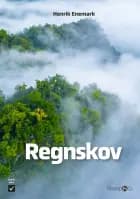 Regnskov af Henrik Enemark