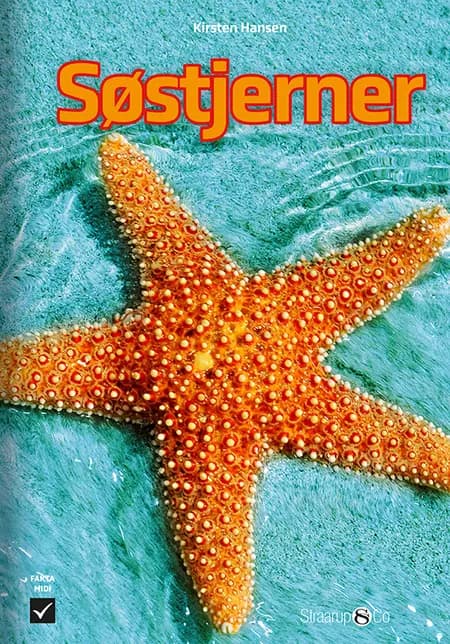 Søstjerner af Kirsten Hansen