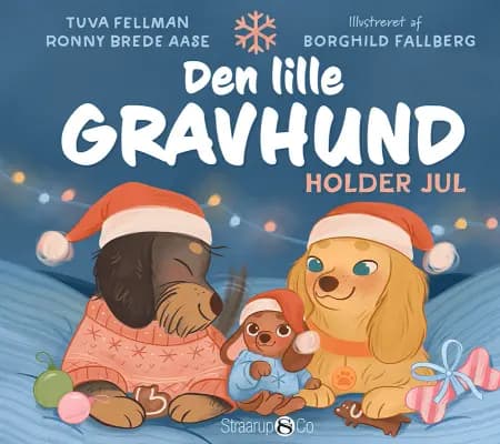 Den lille gravhund holder jul af Ronny Brede Aase