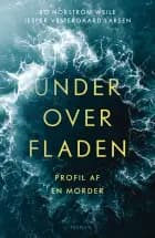 Under overfladen af Bo Norström Weile og Jesper Vestergaard Larsen