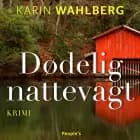Dødelig nattevagt af Karin Wahlberg