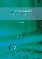 Specialpædagogisk Guide til læsning og skrivning af Elsebeth Otzen og Yvonne Lund