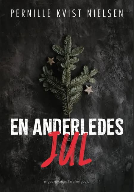 En anderledes jul af Pernille Kvist Nielsen