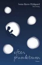 Efter punktum af Sanne Bjerre-Hyldgaard