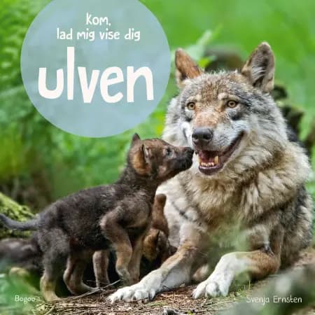 Kom lad mig vise dig ulven af Svenja Ernsten