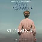 Stormnat af Kristin S. Ålovsrud