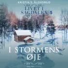I stormens øje af Kristin S. Ålovsrud