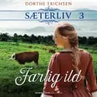 Farlig ild af Dorthe Erichsen