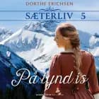 På tynd is af Dorthe Erichsen